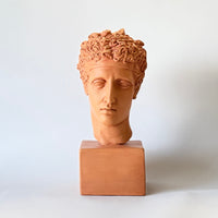 Perseus Bust (2 Colors)