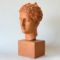 Perseus Bust (2 Colors)