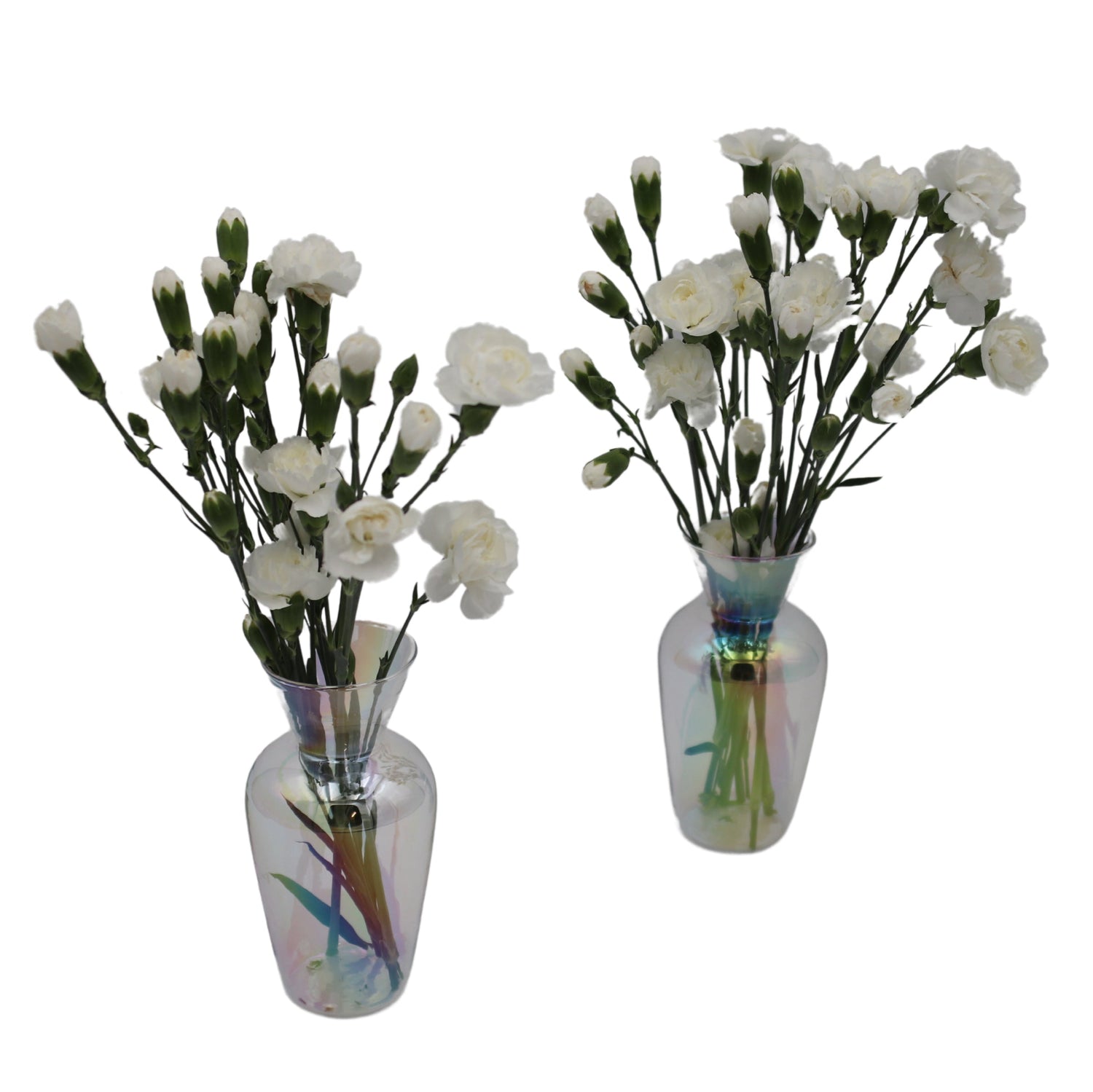 Rainbow Prism Vase - Pair