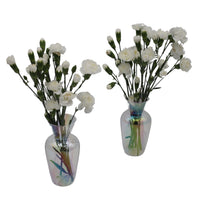 Rainbow Prism Vase - Pair