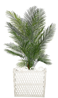 Square White Rattan Scalloped Planter