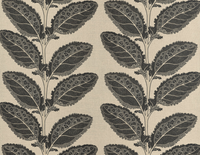 Lacinato Pillow Cover in Basalt Black (Various Sizes & Colors)