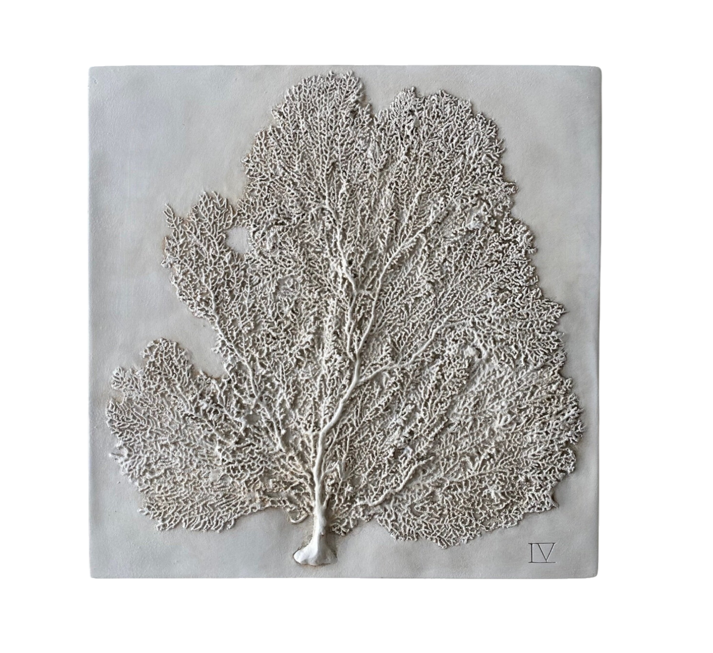 Sea Fan IV