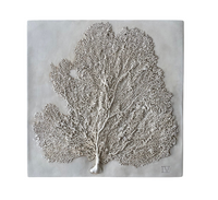Sea Fan IV