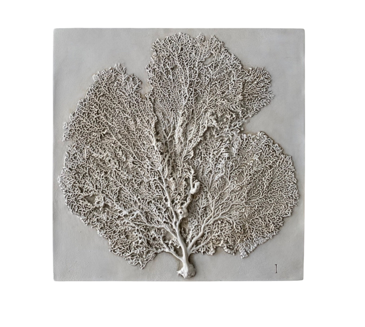 Sea Fan I