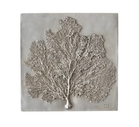 Sea Fan III