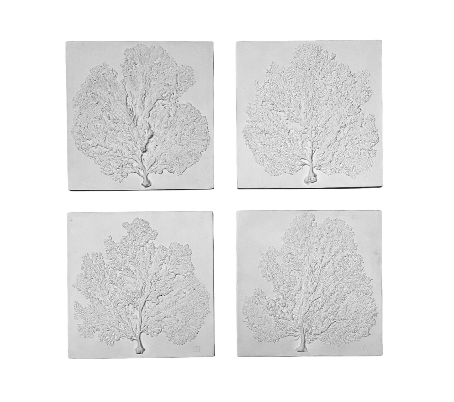 Sea Fans, Set of Four