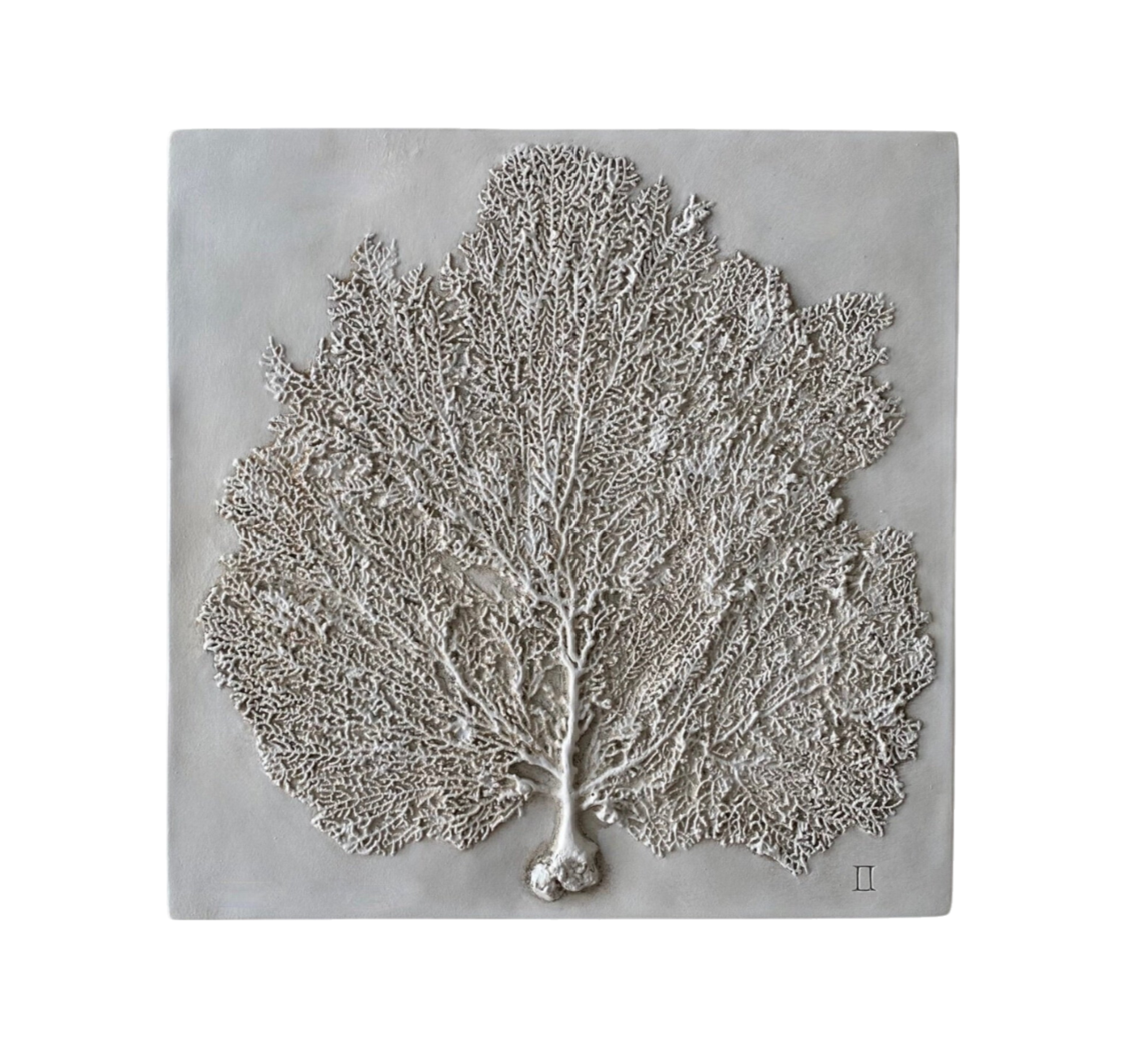 Sea Fan II