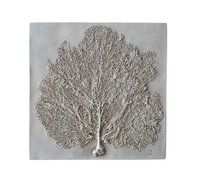 Sea Fan II