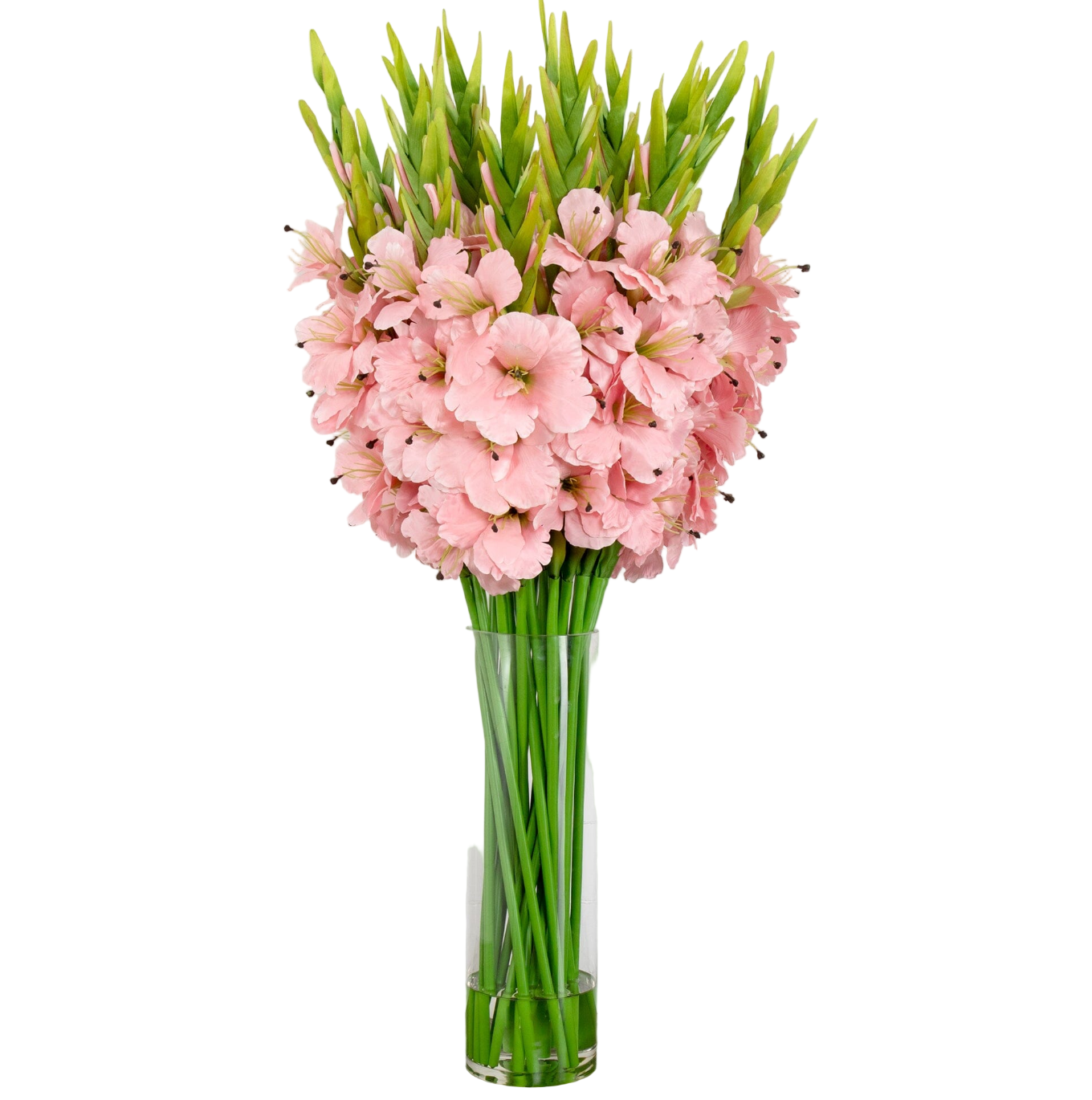 Signature Collection 44” Gladiola Artificial Arrangement in Glass Vase (Various Colors)