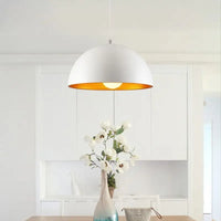 Retro Pendant Light (2 Colors)