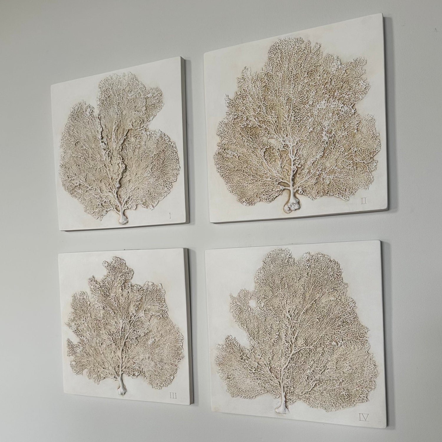 Sea Fans, Set of Four