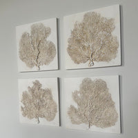Sea Fans, Set of Four