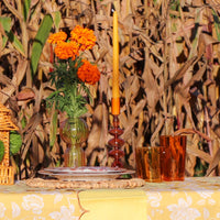 24 Extra Tall Warm Pumpkin Spice Taper Candle - 6 Packs of 4