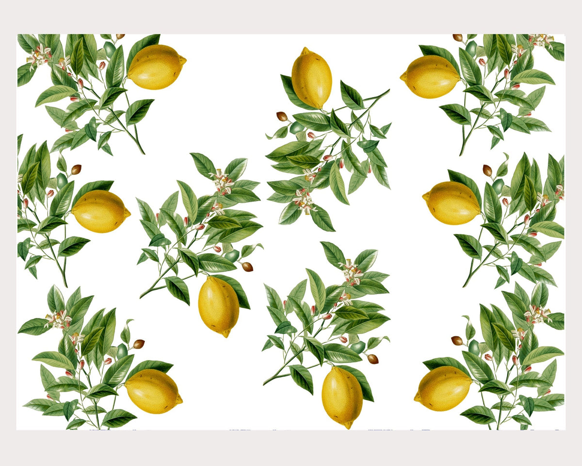 Lemon Paper Placemat (Paper)