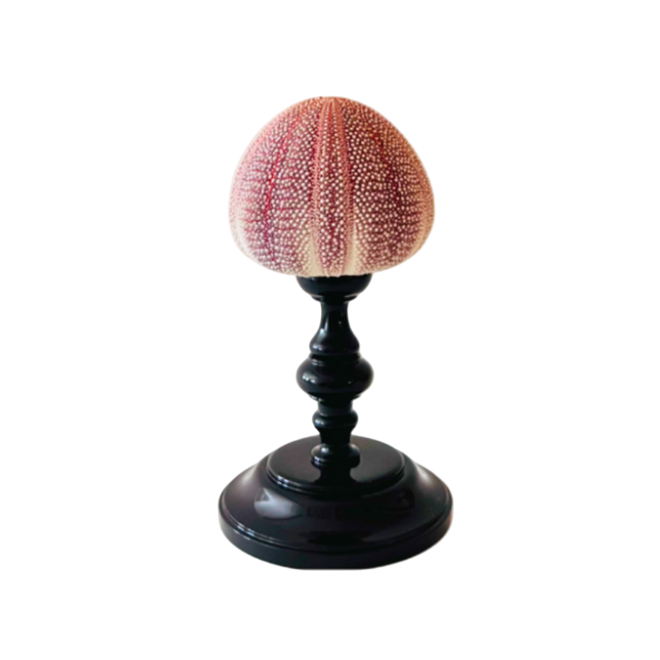 Noto Lacquered Sea Urchin Object, Marrone