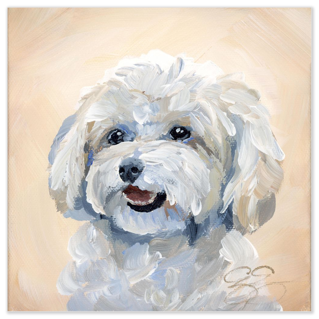 Maltese / Maltipoo – Fine Art Dog Print on Paper (Various Sizes