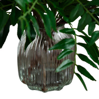 19” Palmate Fern Arrangement in Glass Vase
