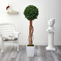 62” English Ivy Single Ball Artificial Topiary Tree in White Metal Planter (Indoor/Outdoor)