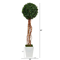 62” English Ivy Single Ball Artificial Topiary Tree in White Metal Planter (Indoor/Outdoor)