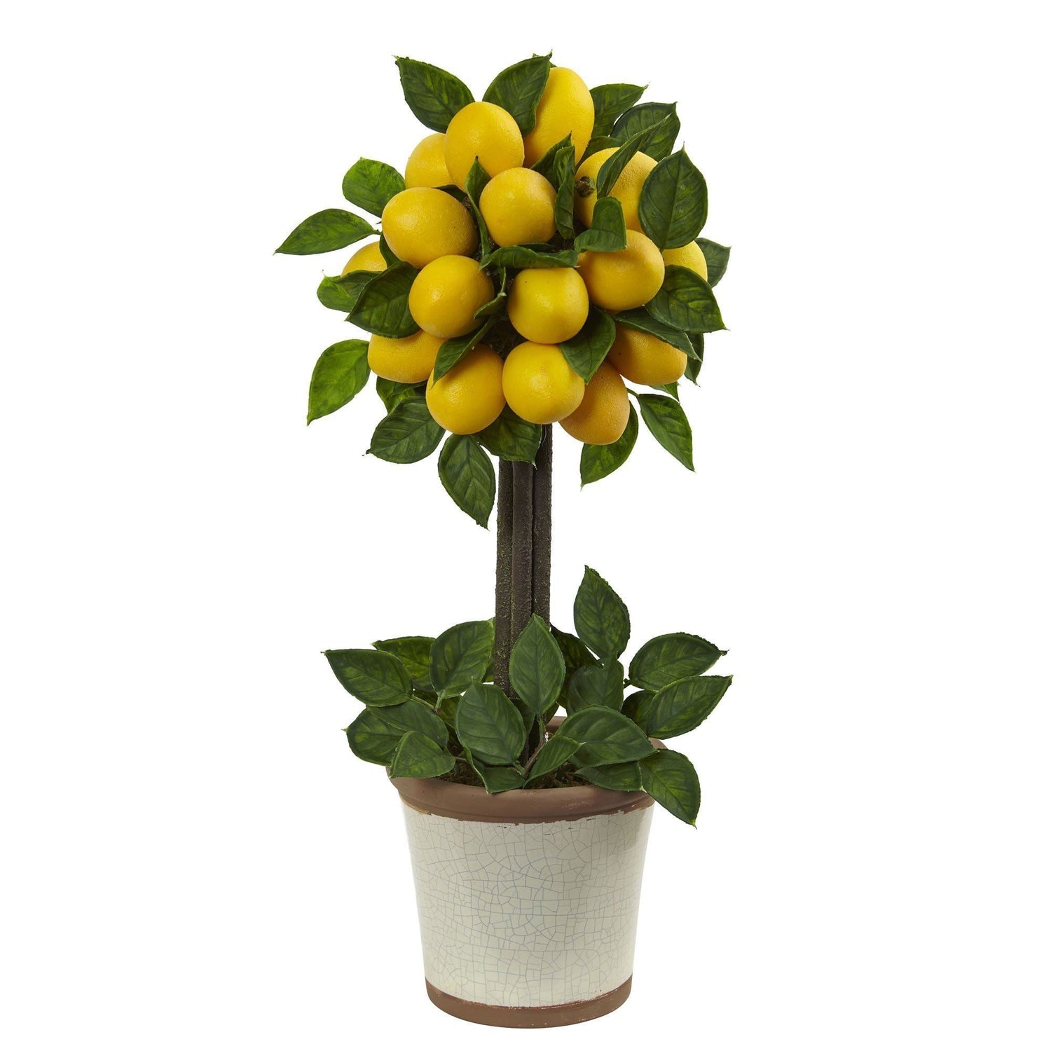 18"H Lemon Ball Topiary Arrangement
