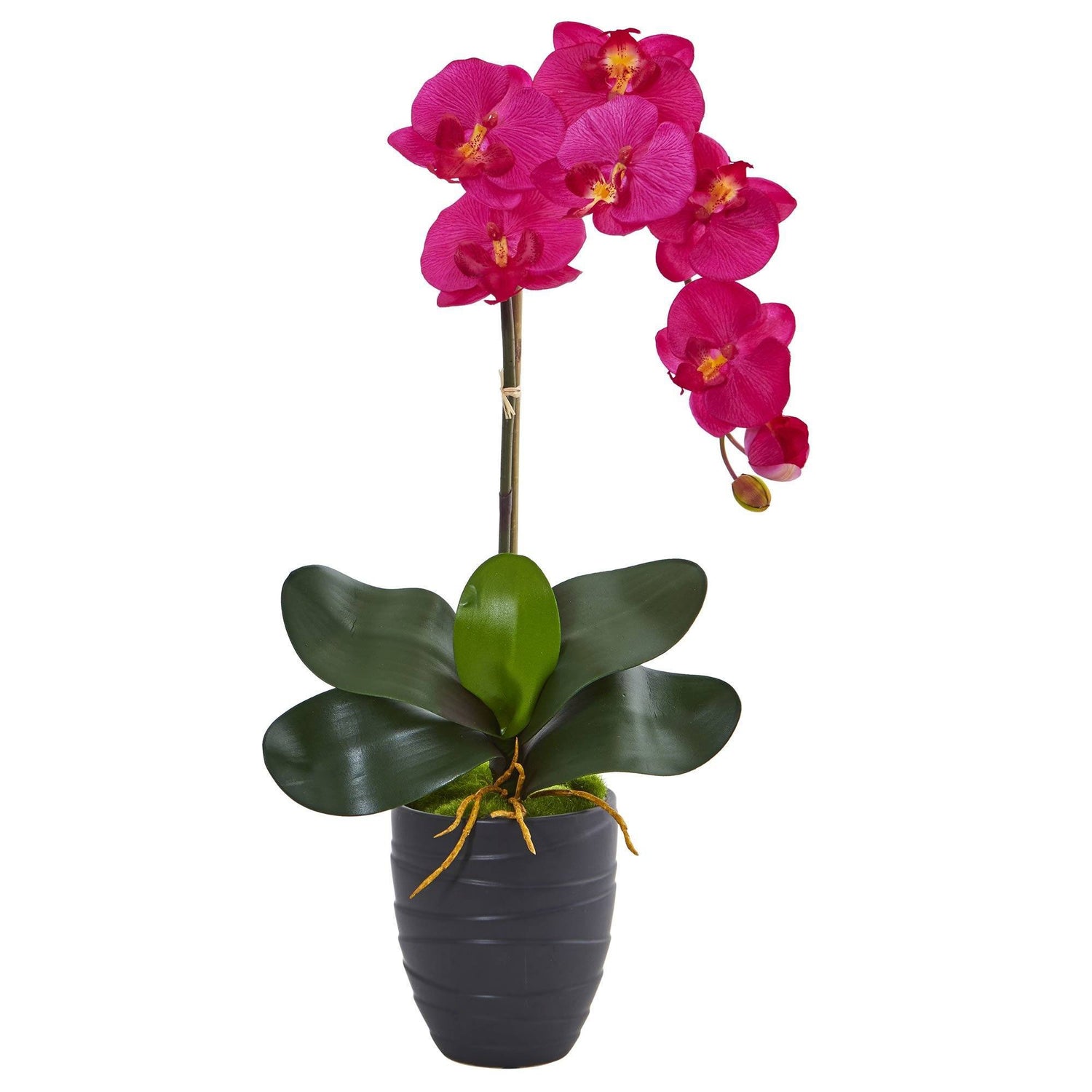 Single Faux Phalaenopsis Orchid in Black Ceramic Vase