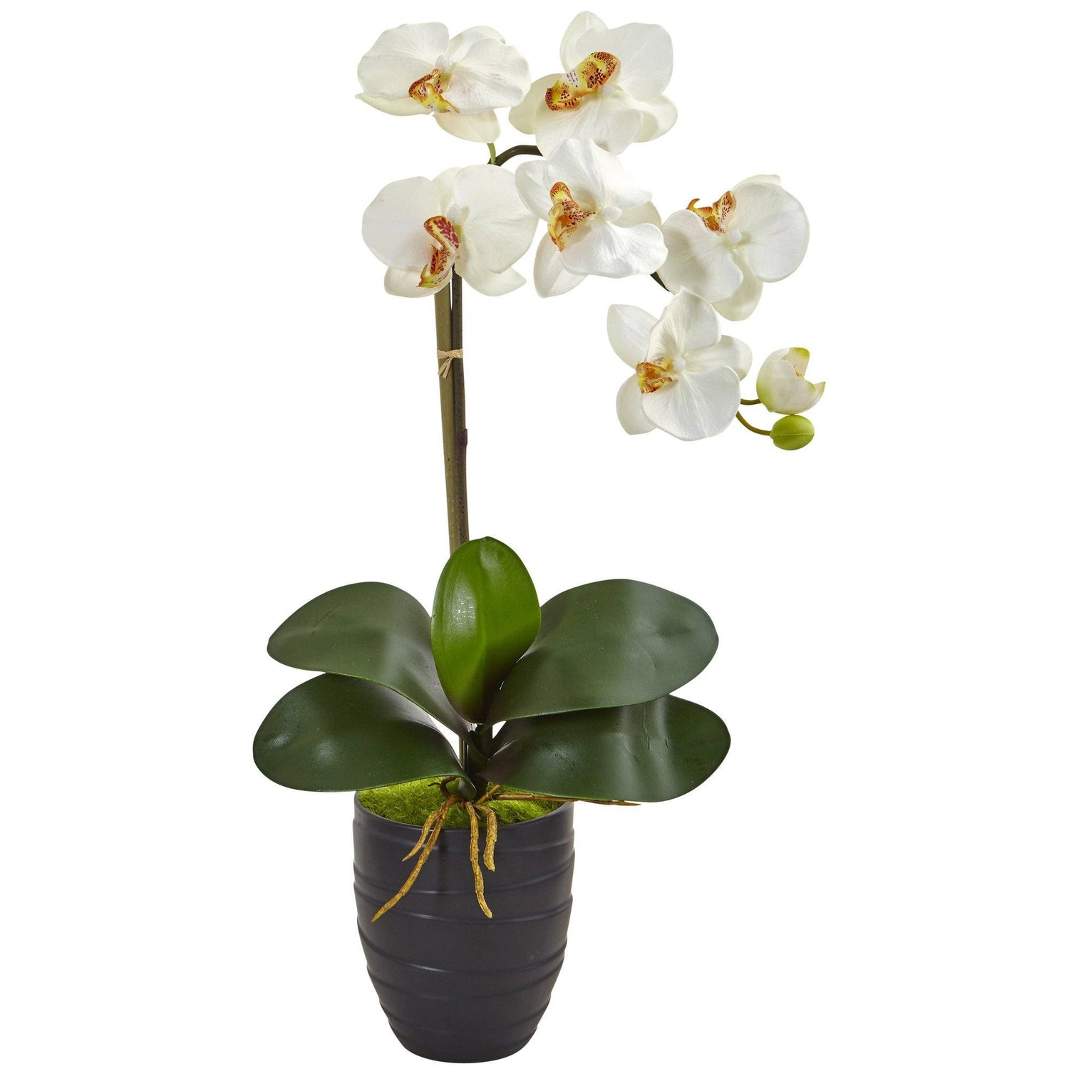 Single Faux Phalaenopsis Orchid in Black Ceramic Vase