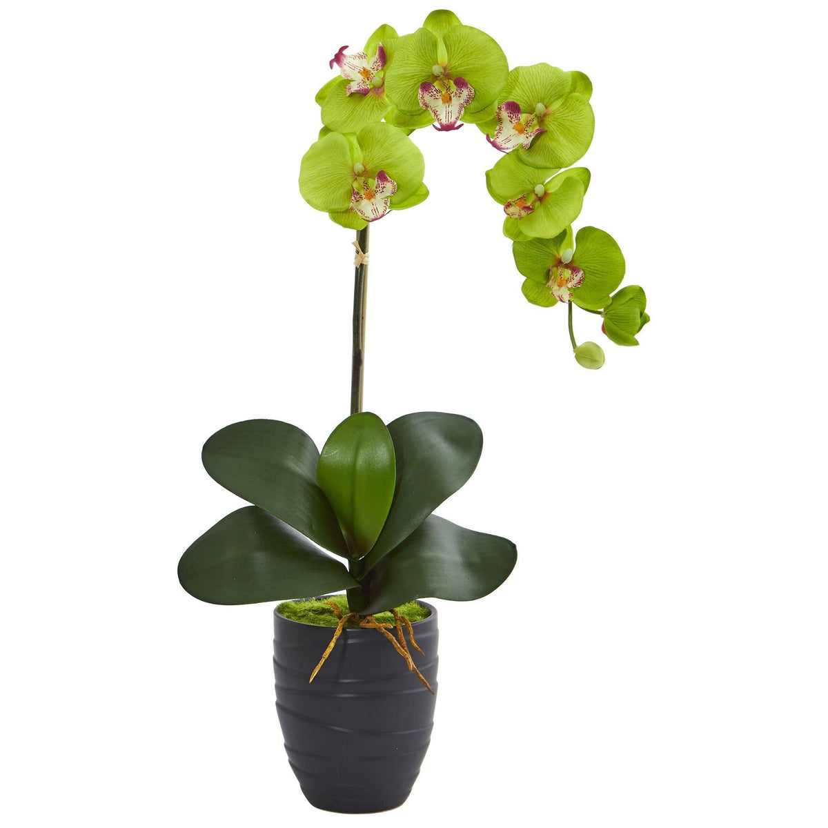 Single Faux Phalaenopsis Orchid in Black Ceramic Vase