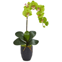 Single Faux Phalaenopsis Orchid in Black Ceramic Vase