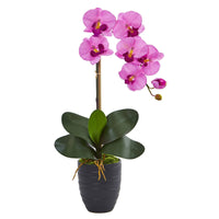 Single Faux Phalaenopsis Orchid in Black Ceramic Vase