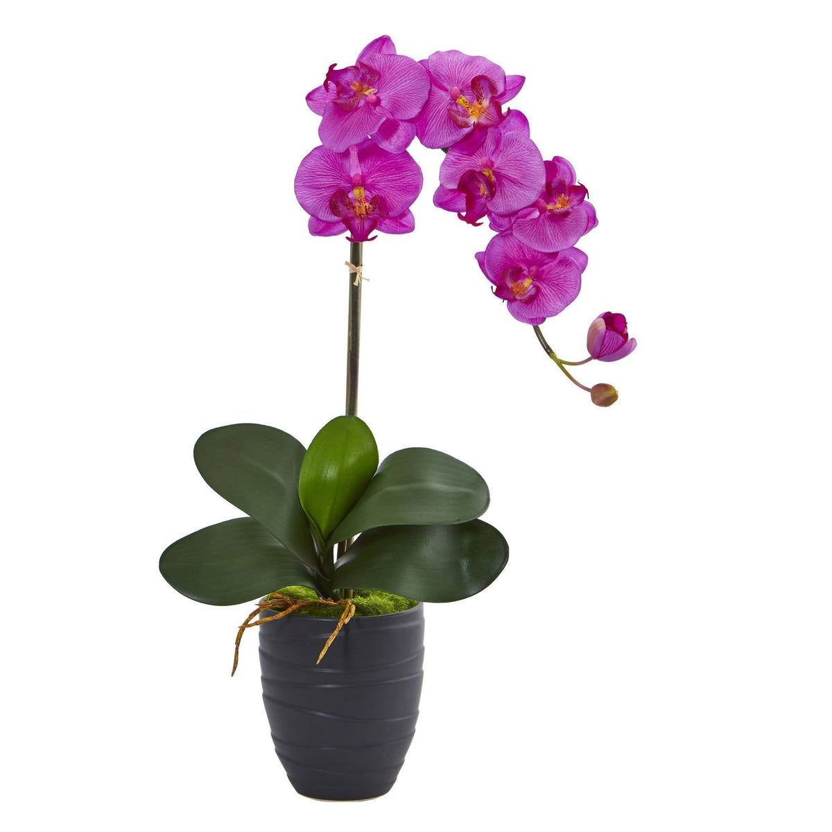 Single Faux Phalaenopsis Orchid in Black Ceramic Vase