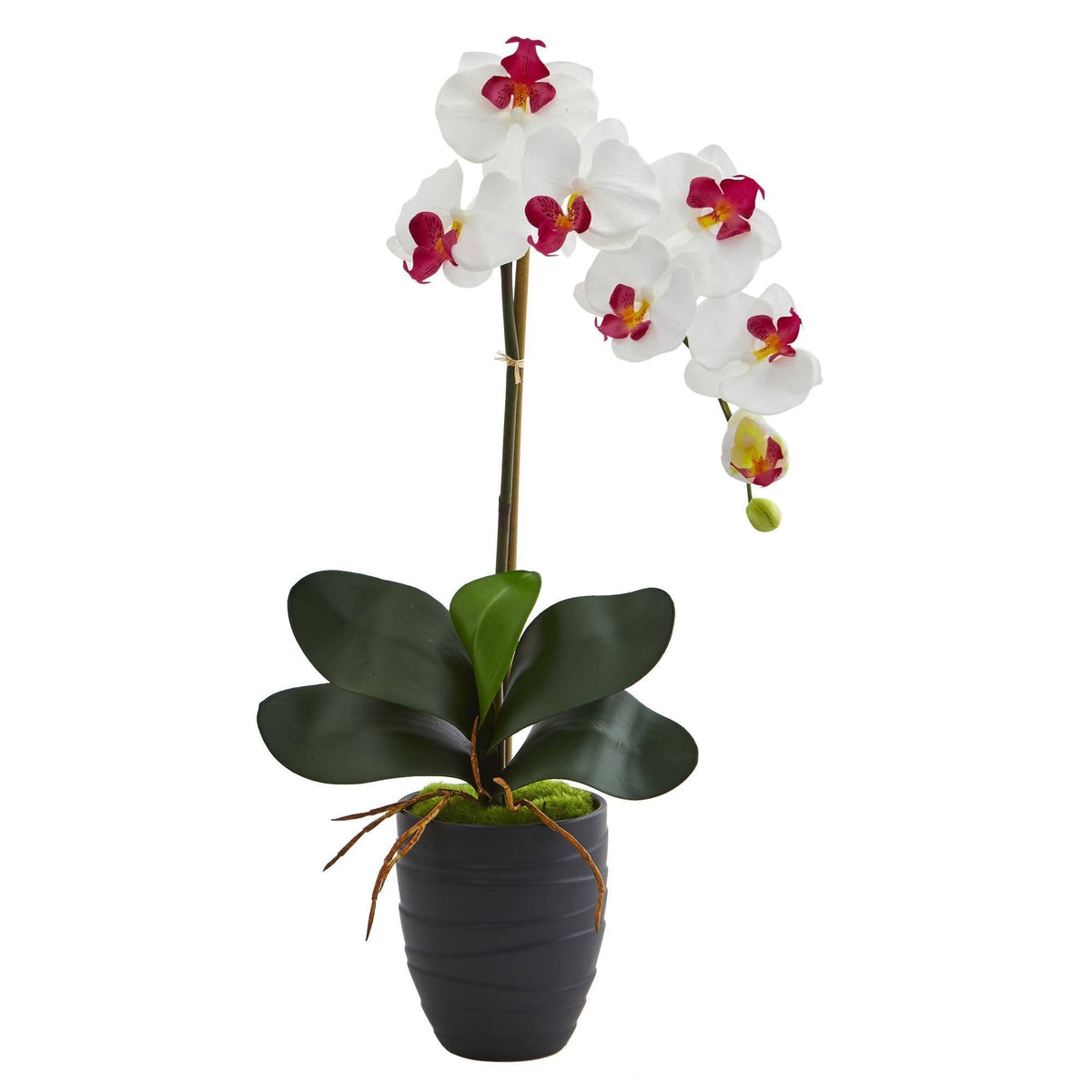 Single Faux Phalaenopsis Orchid in Black Ceramic Vase