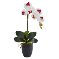 Single Faux Phalaenopsis Orchid in Black Ceramic Vase