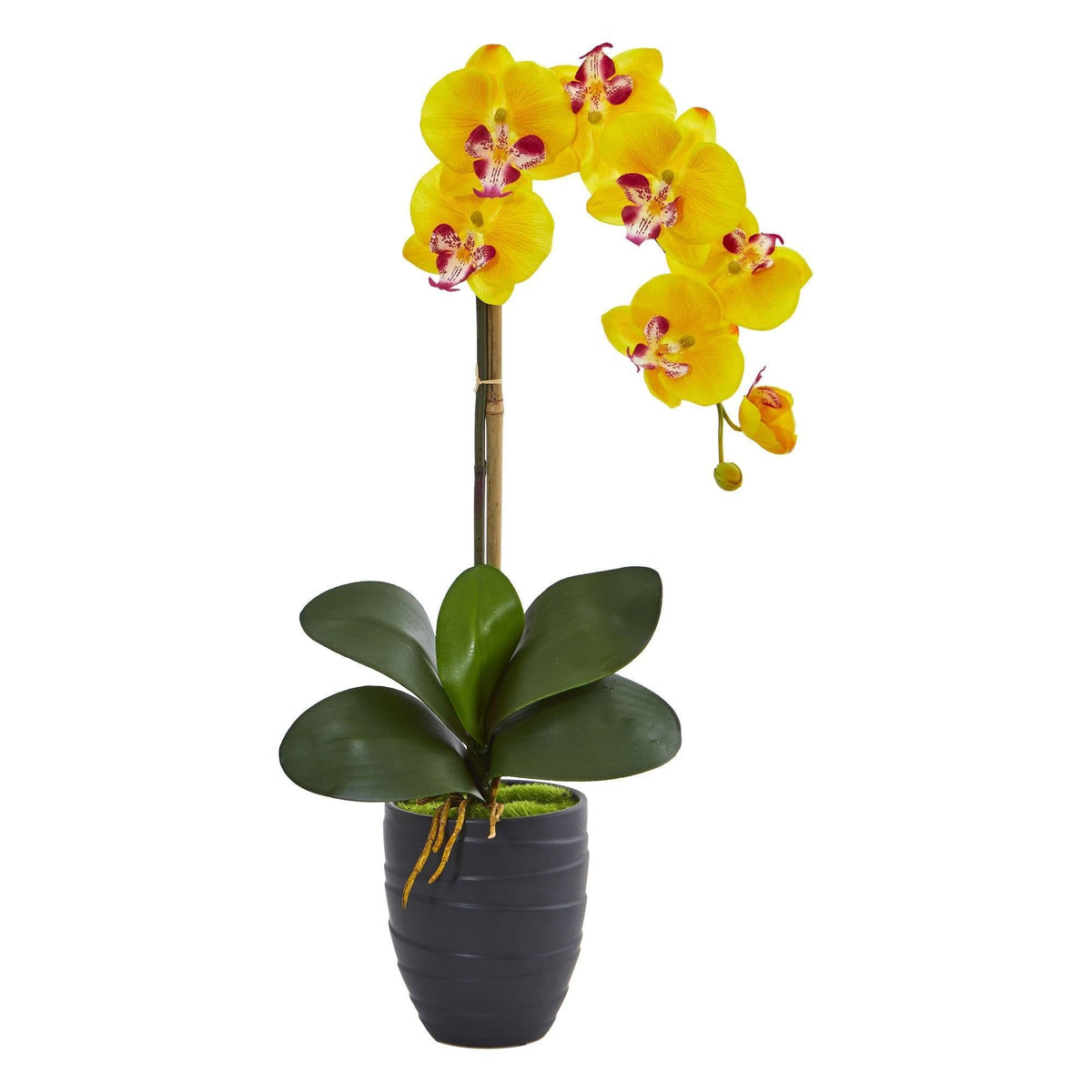 Single Faux Phalaenopsis Orchid in Black Ceramic Vase