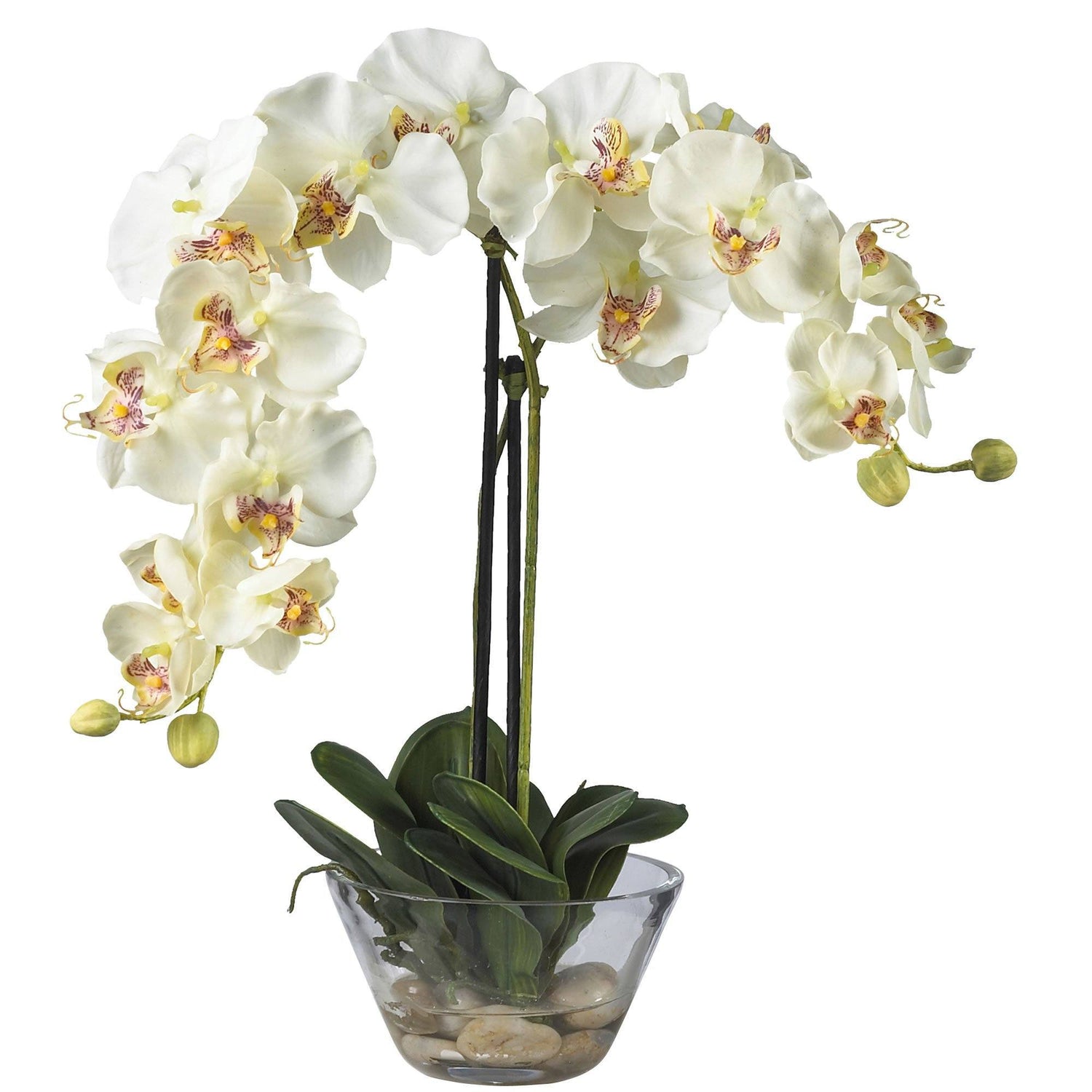 Phalaenopsis w/Glass Vase Silk Flower Arrangement (2 Colors)