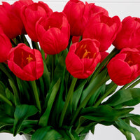 Signature Collection 24” Tulip Artificial Arrangement in Glass Vase (various colors)