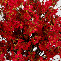 Signature Collection 27” Giant Cherry Blossom Artificial Arrangement in Glass Vase (Various Colors)