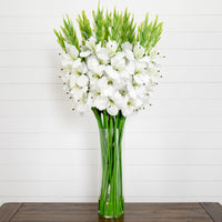Signature Collection 44” Gladiola Artificial Arrangement in Glass Vase (Various Colors)