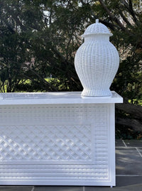 Jumbo Wicker Jar (various colors)