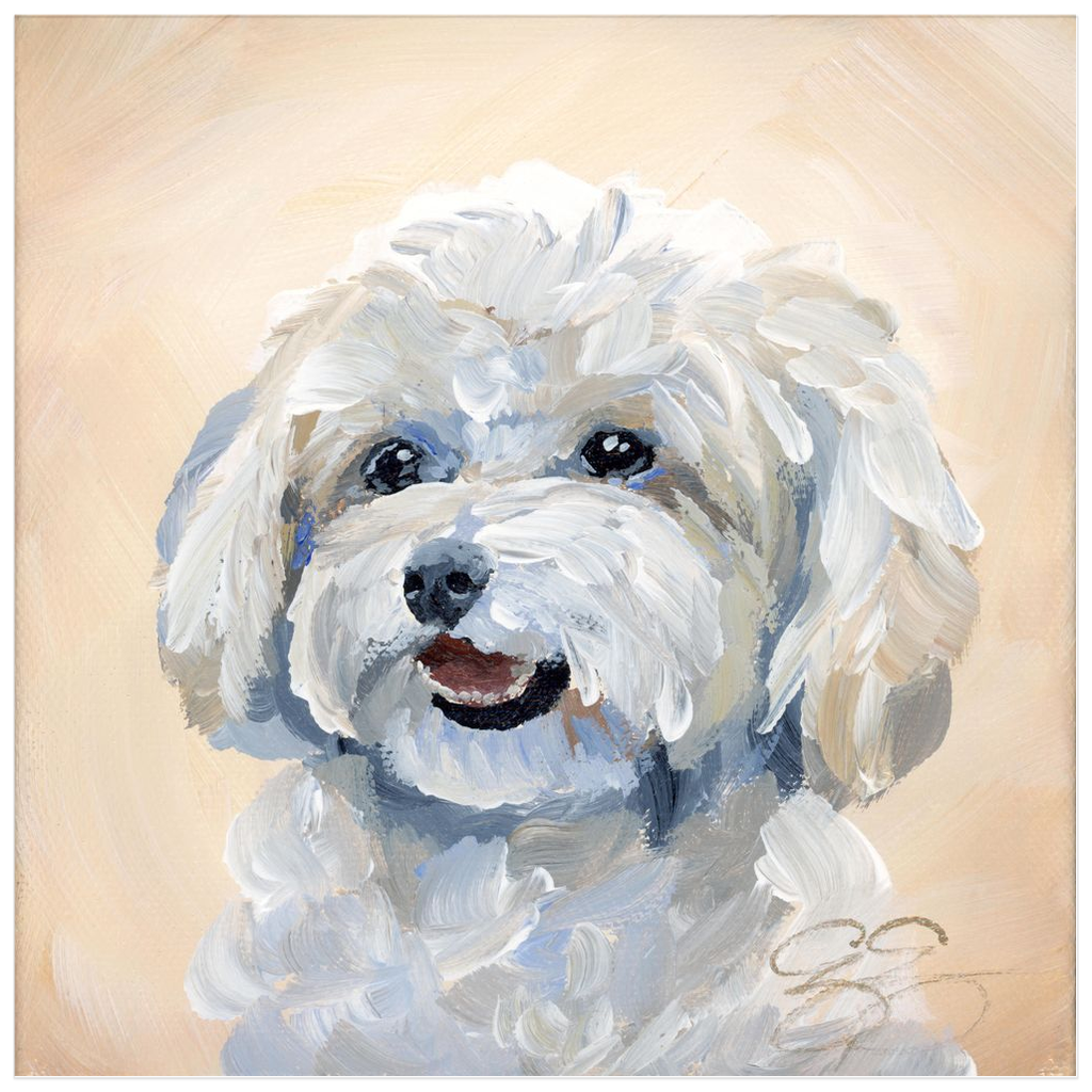 Maltese / Maltipoo – Fine Art Dog Print on Paper (Various Sizes