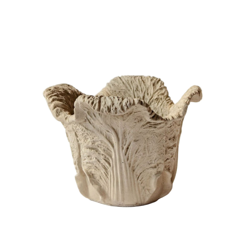 Cabbage Planter