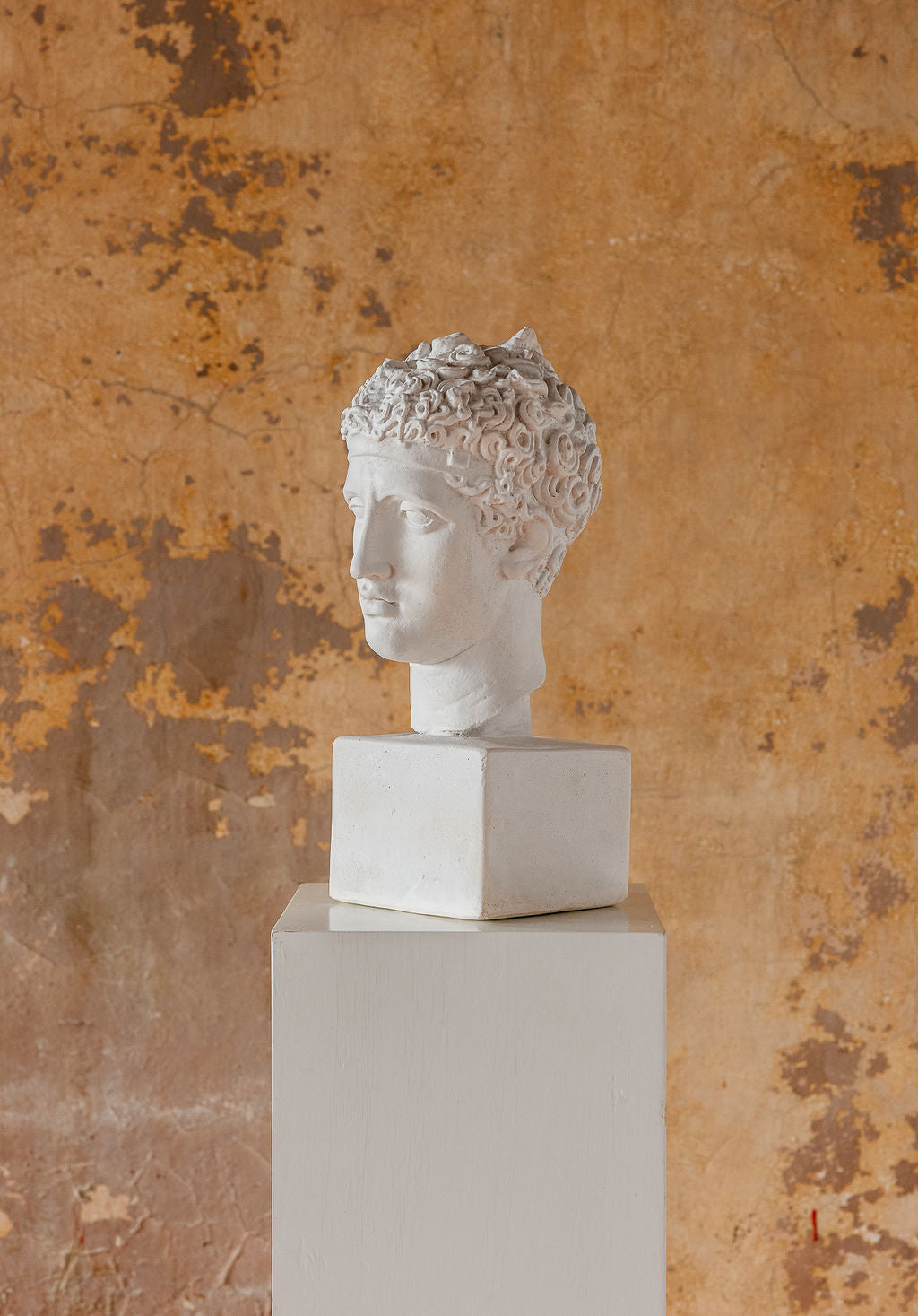 Perseus Bust (2 Colors)