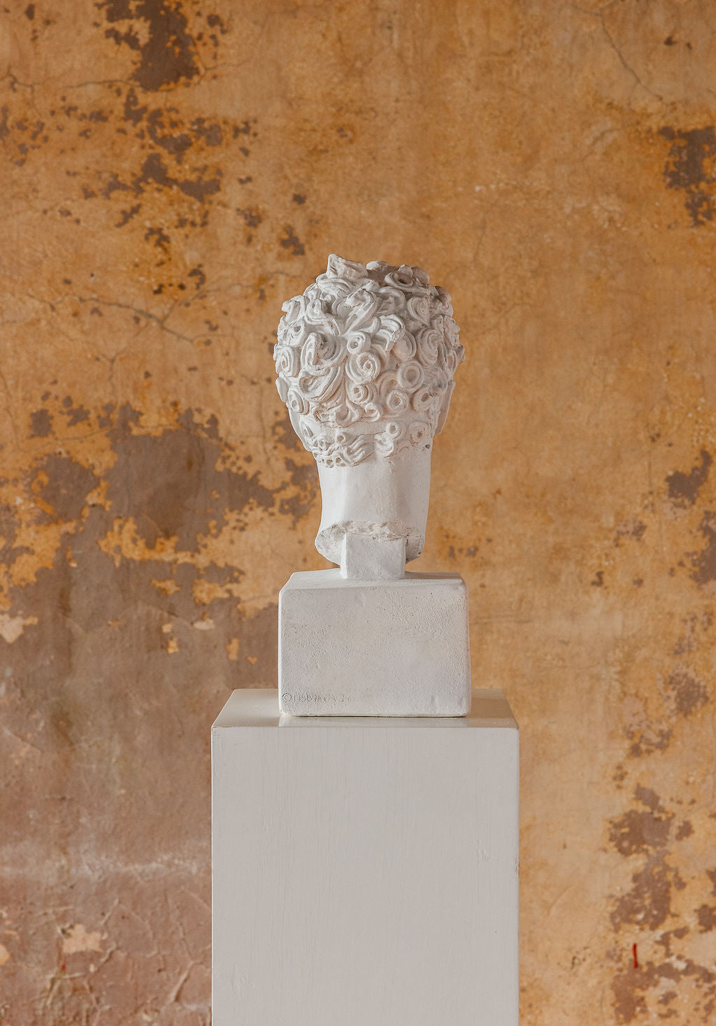 Perseus Bust (2 Colors)