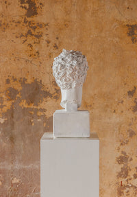 Perseus Bust (2 Colors)