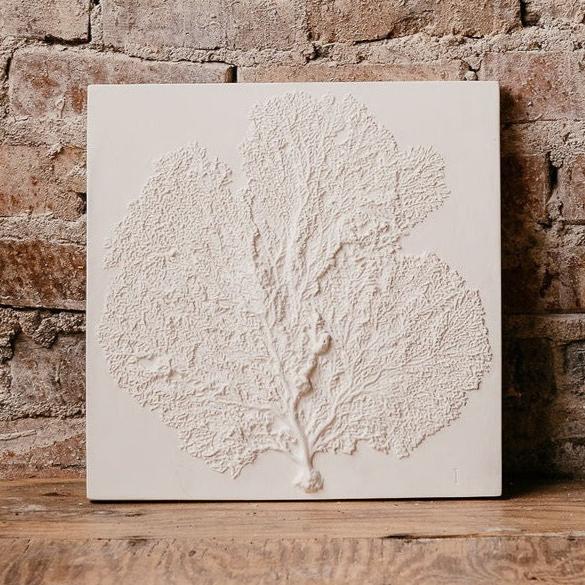 Sea Fan I