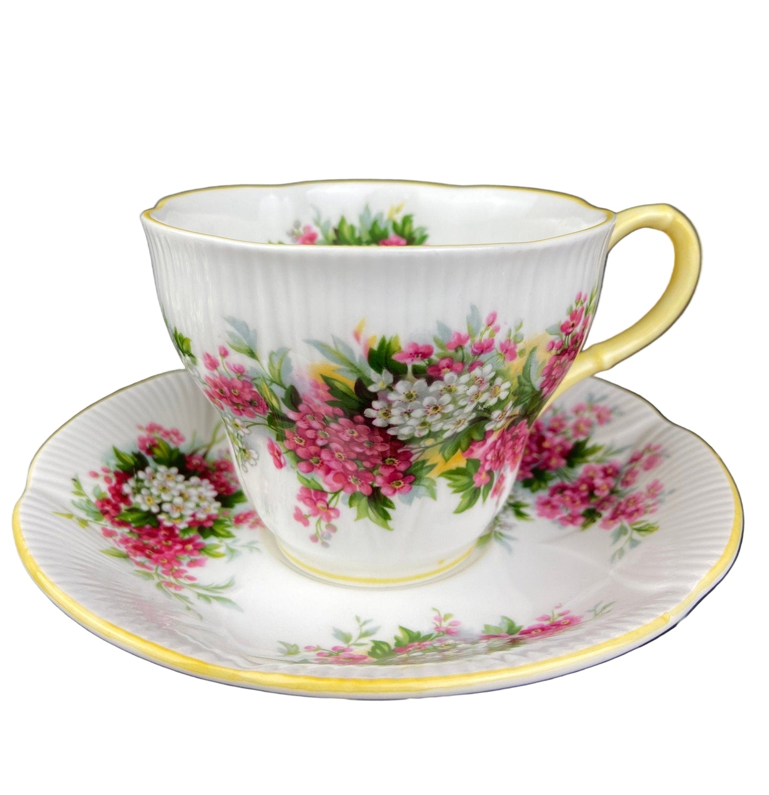 Vintage Royal Albert Cup & Saucer – Blossom Time Hawthorn Series
