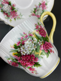 Vintage Royal Albert Cup & Saucer – Blossom Time Hawthorn Series