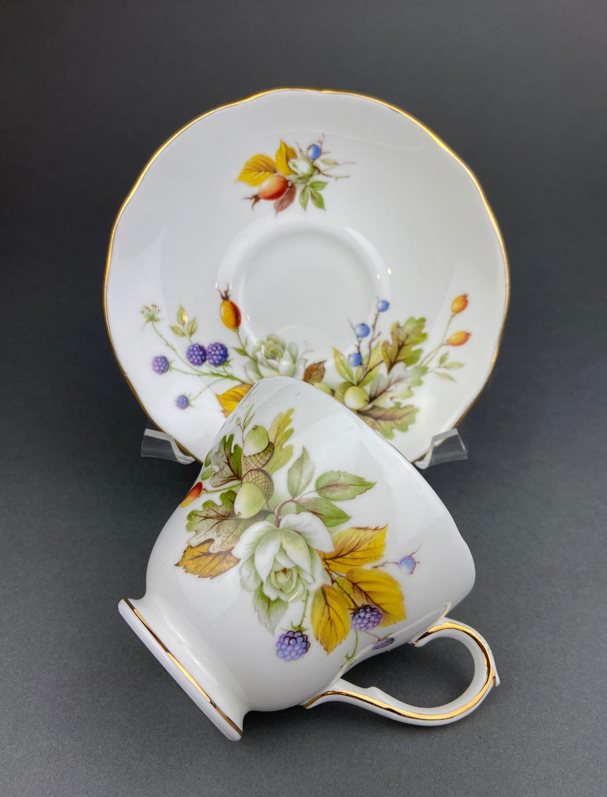 Duchess Fine Bone China Cup & Saucer – Autumn Motif England