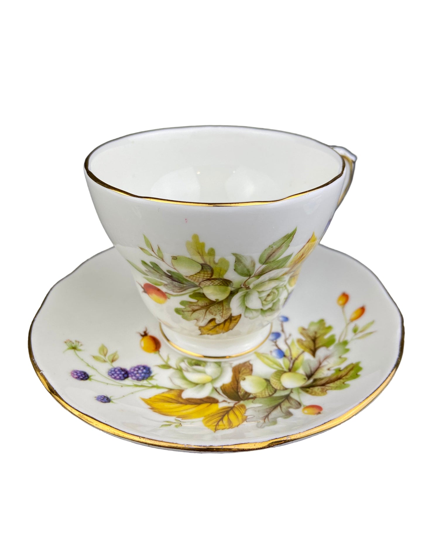 Duchess Fine Bone China Cup & Saucer – Autumn Motif England