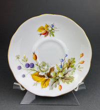 Duchess Fine Bone China Cup & Saucer – Autumn Motif England